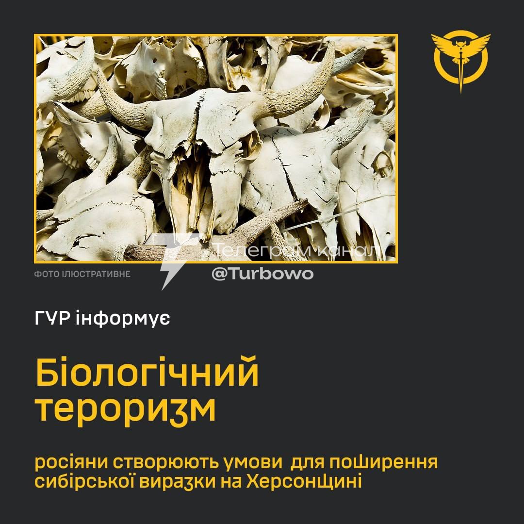 рф намагається поширити сибірську виразку в Україні: на Херсонщину, завозяться…