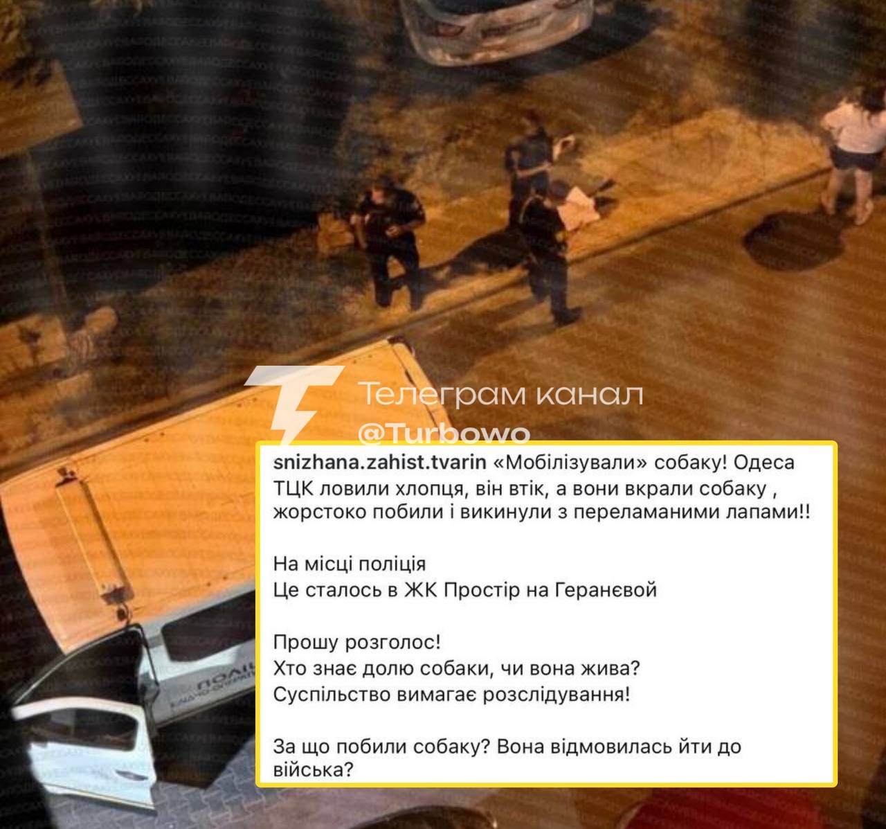 У Одесі зафіксовано випадок жорстокого поводження з твариною