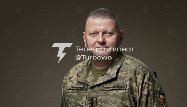 Залужний привітав українців з Днем Конституції Люди та їхня готовність захищати…
