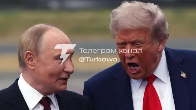 Трамп у розмові з Зеленським зізнався, що його дуже дратує путін: журналістка…