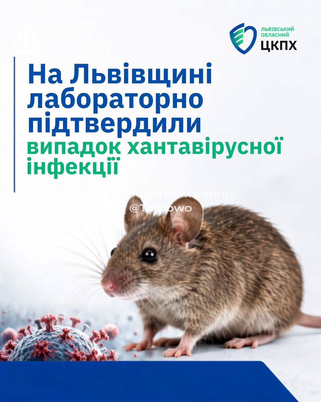 На Львівщині підтверджено випадок хантавірусу