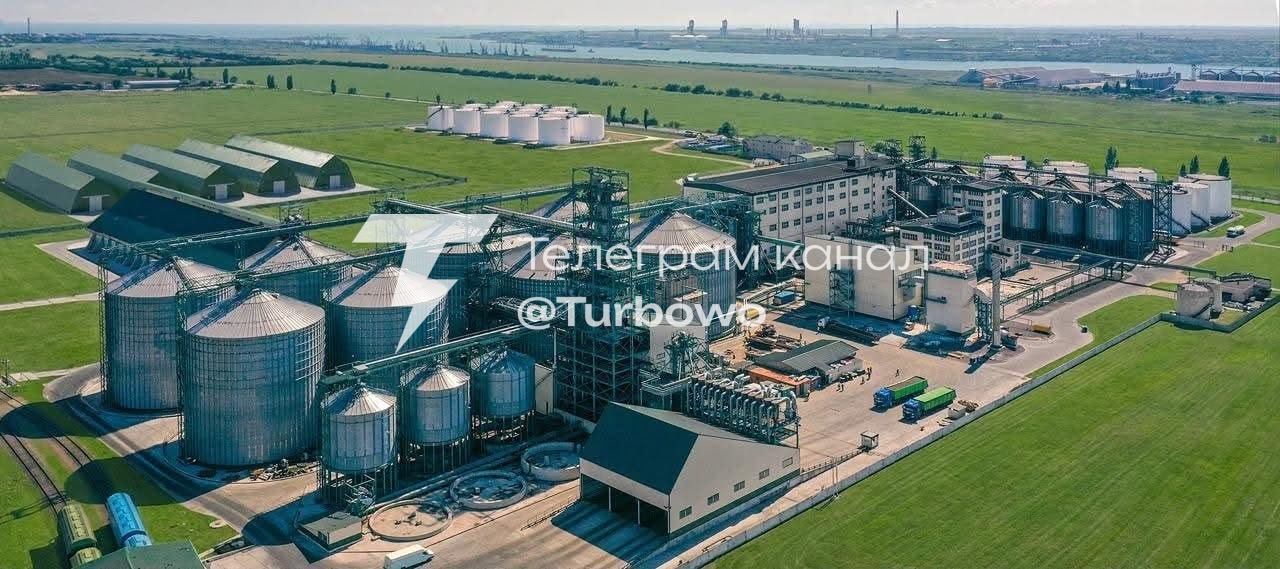 Один з найбільших виробників олії в Україні зупинив роботу через російські атаки…