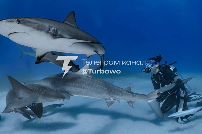 Біологиня Емілі Моррісон встановила рекорд Гіннеса