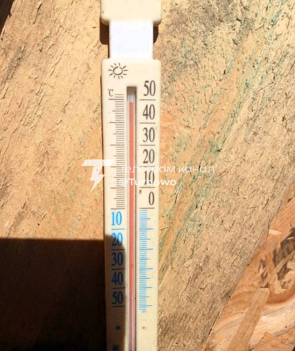 Навіть гори розжарило на +50°C: в Яремче термометр…