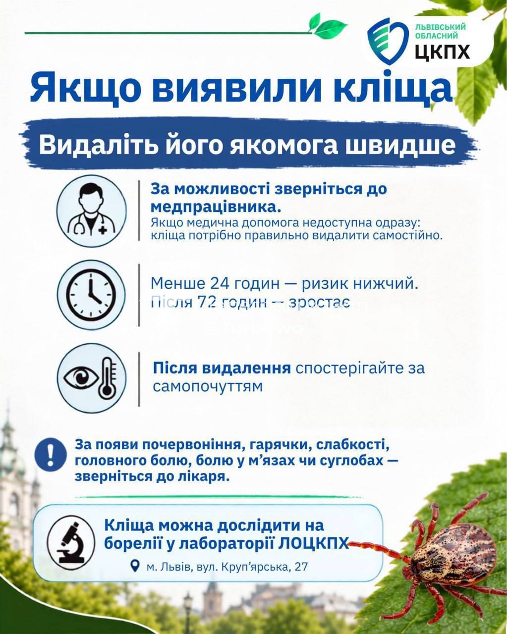 Спалах хвороби Лайма на Львівщині: лише за півтора місяця в…