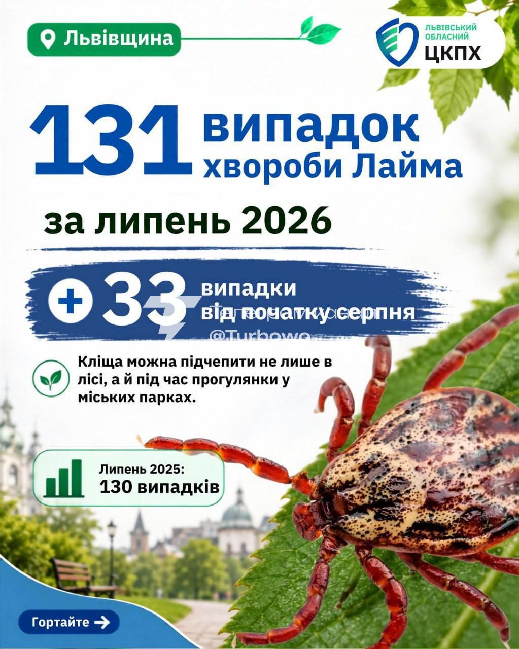 Спалах хвороби Лайма на Львівщині: лише за півтора місяця в…